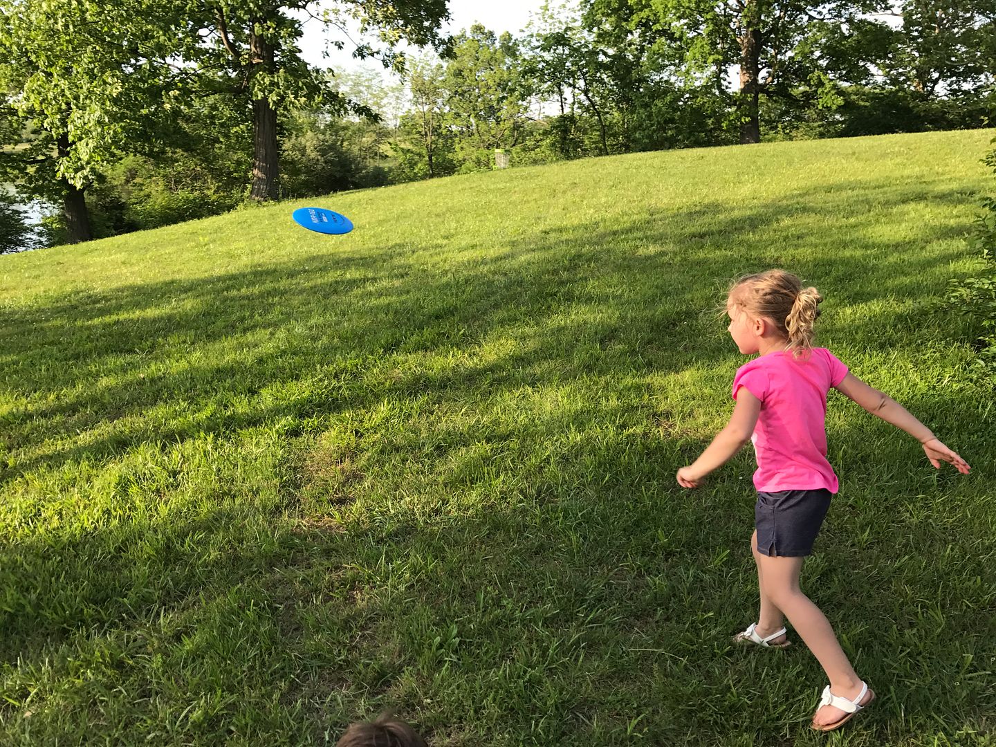 Disc Golf at Wendell Moore Park Oldham Family Fun